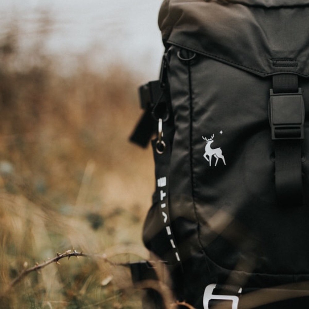 Brevite camera/travel bag